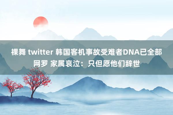 裸舞 twitter 韩国客机事故受难者DNA已全部网罗 家属哀泣：只但愿他们辞世