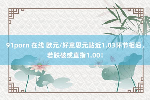 91porn 在线 欧元/好意思元贴近1.03环节相沿，若跌破或直指1.00！