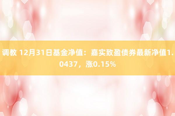 调教 12月31日基金净值：嘉实致盈债券最新净值1.0437，涨0.15%