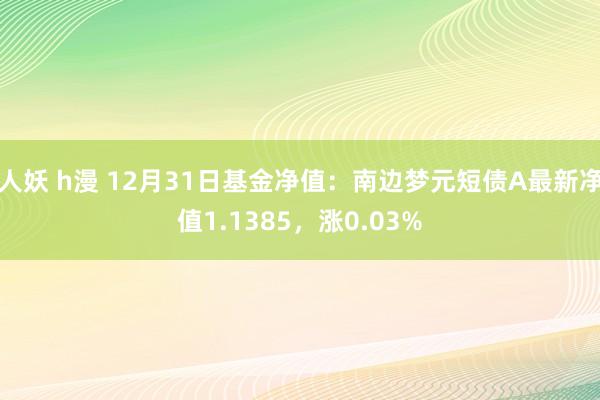 人妖 h漫 12月31日基金净值：南边梦元短债A最新净值1.1385，涨0.03%