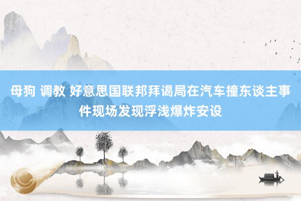 母狗 调教 好意思国联邦拜谒局在汽车撞东谈主事件现场发现浮浅爆炸安设