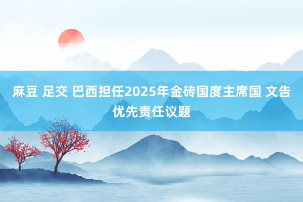 麻豆 足交 巴西担任2025年金砖国度主席国 文告优先责任议题