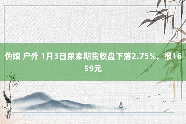 伪娘 户外 1月3日尿素期货收盘下落2.75%，报1659元