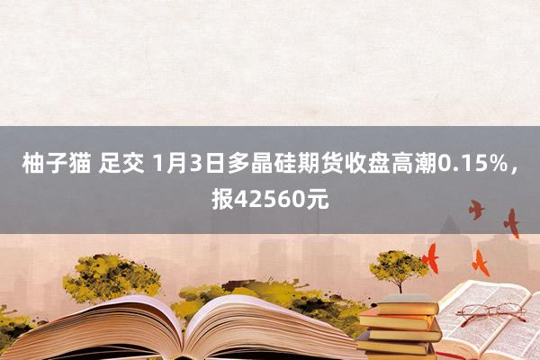 柚子猫 足交 1月3日多晶硅期货收盘高潮0.15%，报42560元