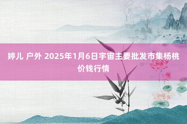 婷儿 户外 2025年1月6日宇宙主要批发市集杨桃价钱行情