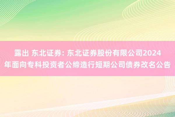 露出 东北证券: 东北证券股份有限公司2024年面向专科投资者公缔造行短期公司债券改名公告