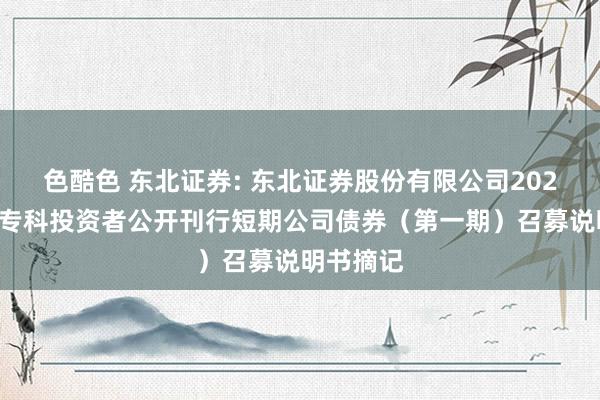 色酷色 东北证券: 东北证券股份有限公司2025年面向专科投资者公开刊行短期公司债券（第一期）召募说明书摘记