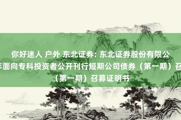 你好迷人 户外 东北证券: 东北证券股份有限公司2025年面向专科投资者公开刊行短期公司债券（第一期）召募证明书