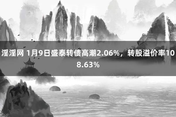 淫淫网 1月9日盛泰转债高潮2.06%，转股溢价率108.63%