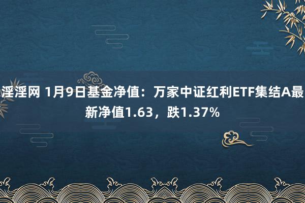 淫淫网 1月9日基金净值：万家中证红利ETF集结A最新净值1.63，跌1.37%