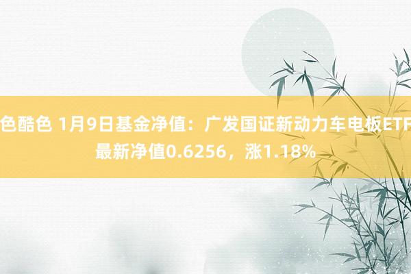 色酷色 1月9日基金净值：广发国证新动力车电板ETF最新净值0.6256，涨1.18%