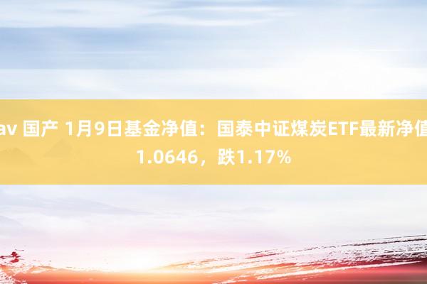 av 国产 1月9日基金净值：国泰中证煤炭ETF最新净值1.0646，跌1.17%