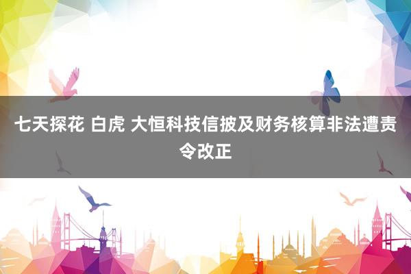 七天探花 白虎 大恒科技信披及财务核算非法遭责令改正