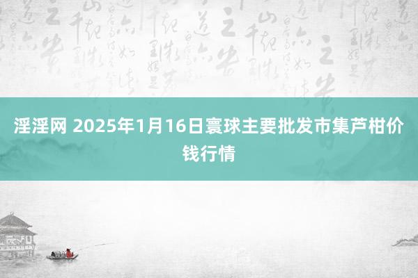 淫淫网 2025年1月16日寰球主要批发市集芦柑价钱行情