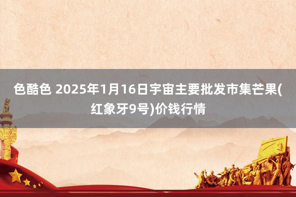 色酷色 2025年1月16日宇宙主要批发市集芒果(红象牙9号)价钱行情