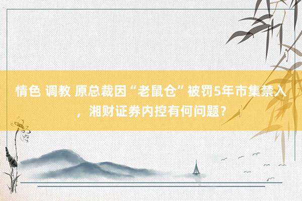 情色 调教 原总裁因“老鼠仓”被罚5年市集禁入，湘财证券内控有何问题？